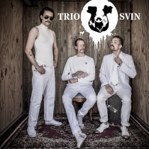 Trio Svin band 1000px